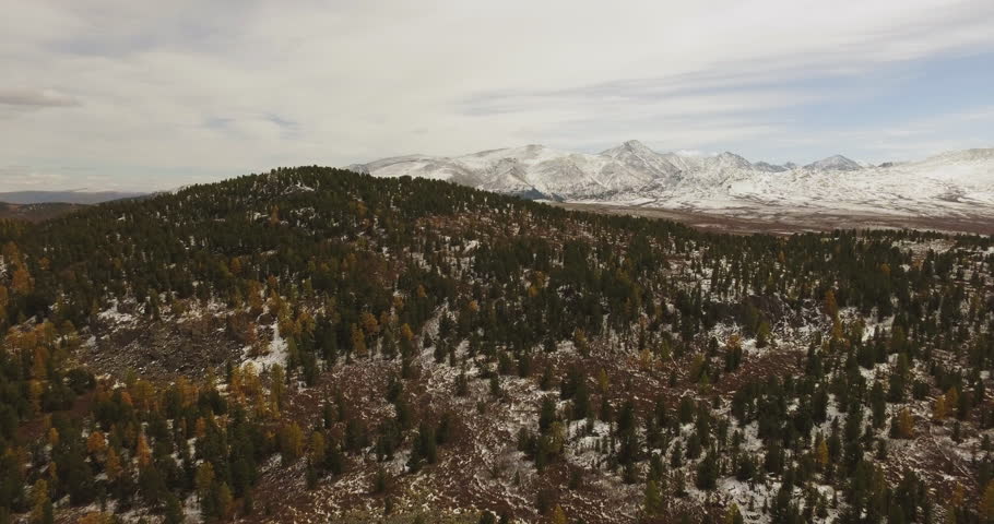 Flight over the Mountains. Altai. Siberia. Forest Valley 4k
