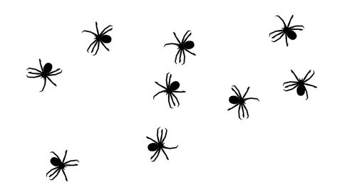 Insects Black White Decorative Icons Set Stock Vector (Royalty Free ...