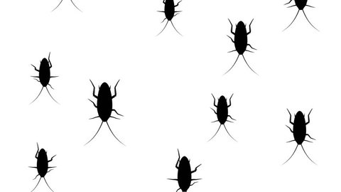 Cockroaches running down on a white background. Seamless loop 3d animation of black silhouettes of insects.