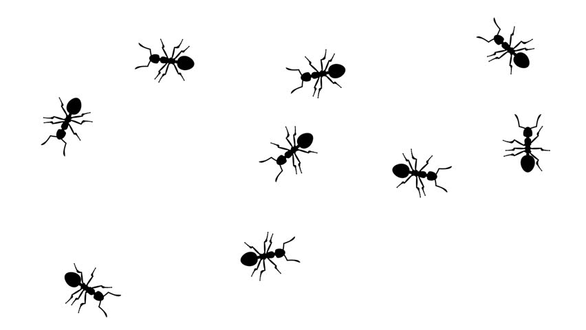 Ants in prohibition sign. Black silhouettes of pests swarm on white background, 3D animation. Royalty-Free Stock Footage #1011773552