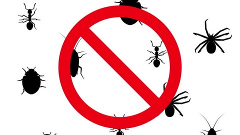 Arthropods in prohibition sign. Black silhouettes of pests creep up on white background. Seamless loop 3D animation.