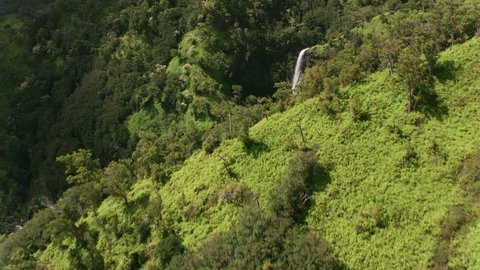 Kauai, Hawaii circa-2018, Aerial view of beautiful waterfalls on Kauai. Shot with Cineflex and RED Epic-W Helium.