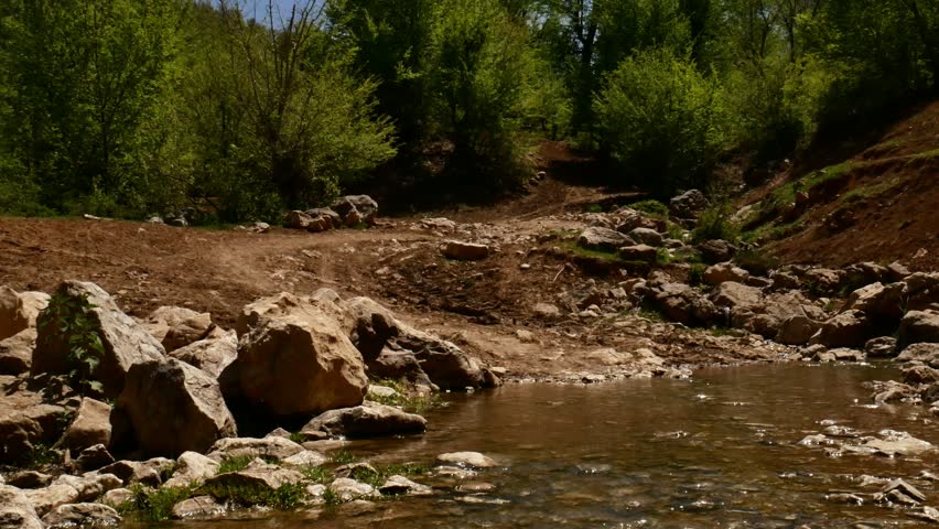dolly shot over snowmelt narrow river on mountain top spring stream surrounded with green trees and grass, flying bugs over water 