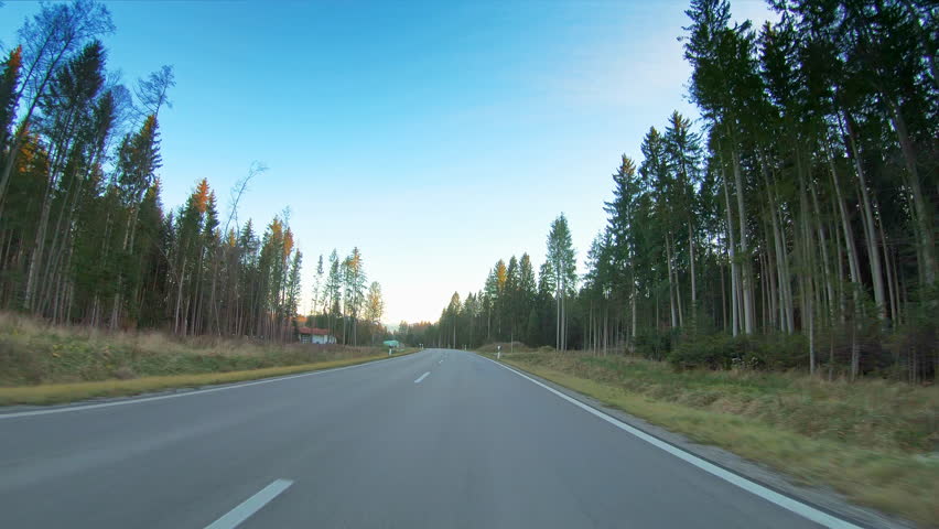 Beautiful countryside nature POV vehicle drive, asphalt road, evergreen forest trees, car travel  point of view