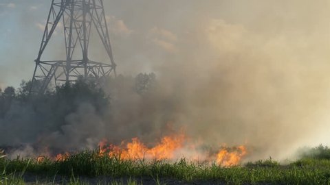 The grass burns in a meadow. Ecological catastrophy. Fire and smoke destroy all life.High voltage tower.