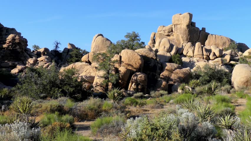 The Joshua Tree National Park in southeastern California, USA, 2017