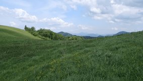 Alpine meadows (Lubochna Valley), Slovakia, Velka Fatra (Great Fatra), Western Carpathians,