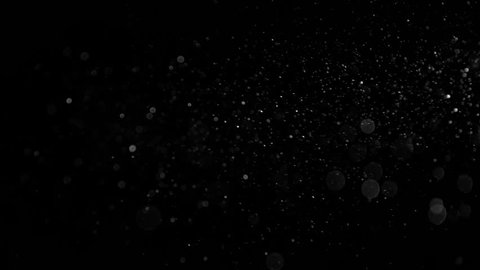 Natural Organic Dust Particles Floating On Black Background. Dynamic Dust Particles Randomly Float In Space With Slow Motion. Shimmering Glittering Particles With Bokeh. Real White Particles In Air.