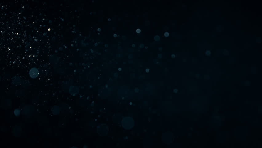 Natural Organic Dust Particles Floating On Black Background. Dynamic Dust Particles Randomly Float In Space With Slow Motion. Shimmering Glittering Particles With Bokeh. Real Colored Particles In Air.