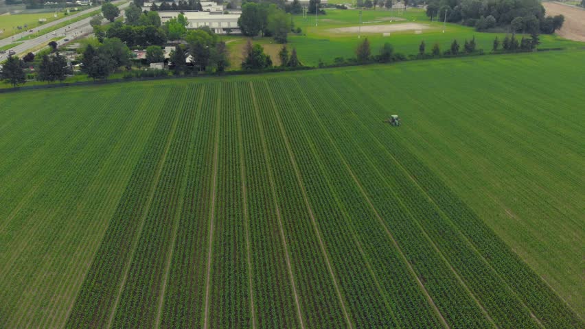 Aerial: tractor working on cultivated fields farmland, agriculture occupation, top down view of lush green cereal crops, sprintime in Italy 