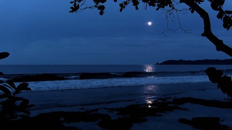 Full moon on a Caribbean Beach. White wake on the waves of the sea in the tropics. Waves breaking on the shore in the light of the moon.
