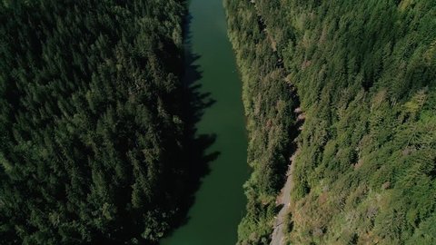 Nisqually River Green Trees Aerial