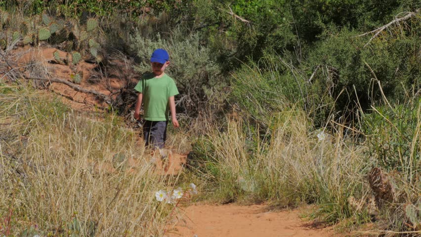 Young boy on a hike with sand and cactus in the background.