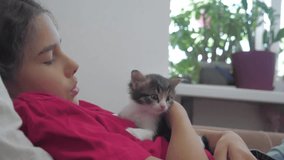 little girl and black and white fluffy kitten lie on the bed. girl stroking a small kitten slow motion video lifestyle. girl and kitten concept