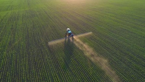 4K aerial drone footage. Following tractor sprayer on soybean fields at sunset