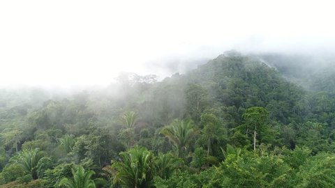 Aerial view of misty Mayan Mountains in Central American jungles
