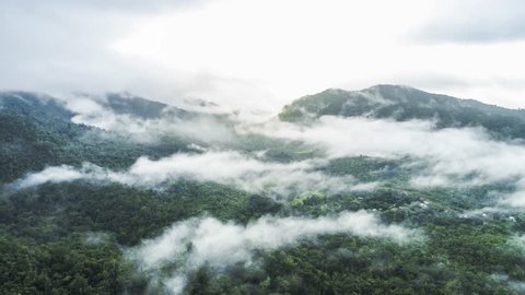 Aerial flight above misty jungles in South America