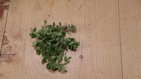 Wild thyme. CU top shot of a species of wild oregano known in the Arab world as zaatar, displayed on a wooden table. 