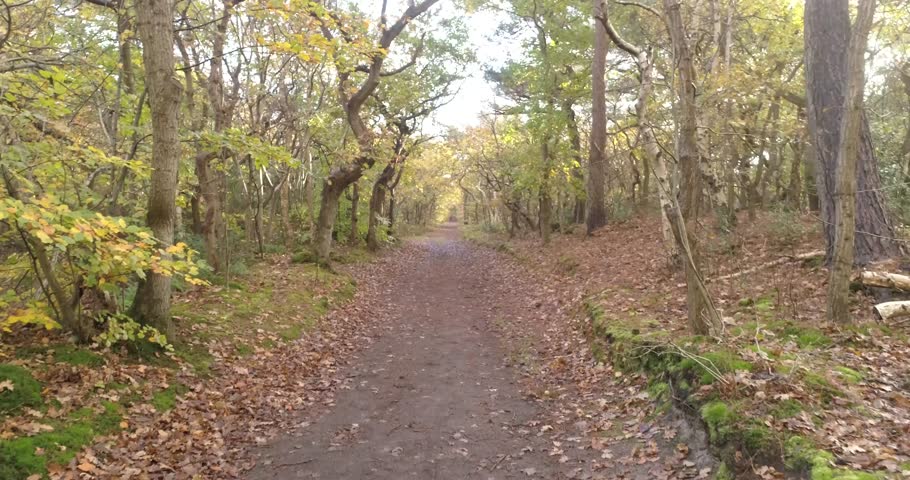 Drone 4k backword trolly shot through the dunes
