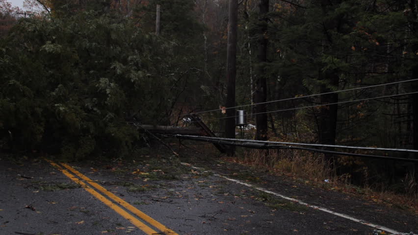 A Fallen Tree Blocks the Road After A Storm