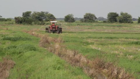 Application of poison in rice plantation with spraying sprayer.