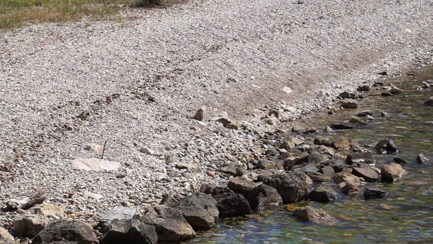 surface of the sea rippled by the waves in the morning sun