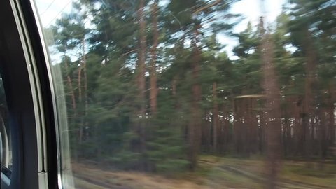 Forested landscape seen from the window of a train.