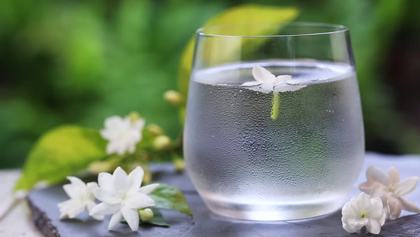 Featured image of post View 12 Studio Still Life Photography Flowers