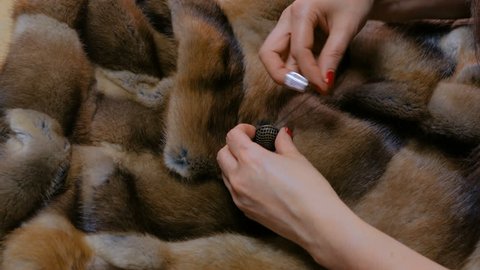 Hands of professional tailor, designer sewing button of fur coat at atelier, studio. Fashion and tailoring concept