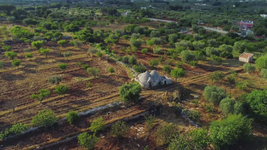 Trullo trulli old whitr House in the field in Italy Drone 4k flight Royalty-Free Stock Footage #1012085393