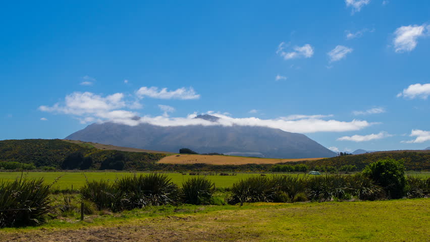 Sunny Landscape in New Zealand