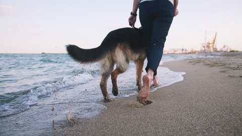 Happy young woman running and playing with her German shepherd dog outdoor on the beach, close up, slow motion Video de stock