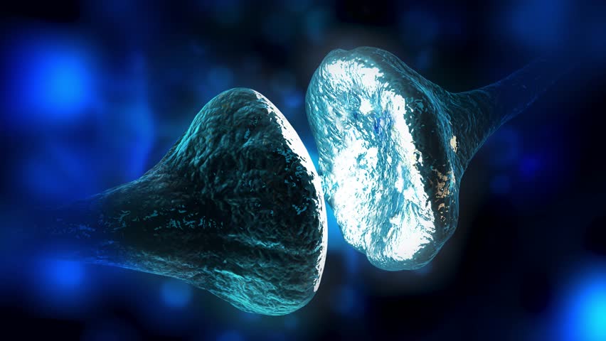 Brain cell synapse showing chemical messengers or neurotransmitters released from pre-synaptic neuron to be received by the post-synaptic nerve cell receptor in a CG model visualization Royalty-Free Stock Footage #1012114589