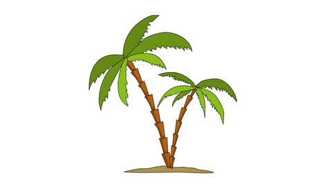 Hand Drawn Palm Tree Animation Stock Footage Video (100% Royalty-free)  1012128479 | Shutterstock