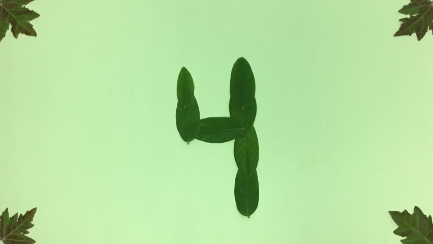 Number 4 made of green leaves.