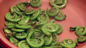 Ostrich Fern Fiddleheads cooking on the pan