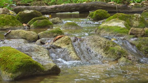 stream and waterfall with rock or stone and timber in green jungle or forest for summer holiday relax on nature and adventure travel trip at Khao Laem National Park on 4K with nature sound