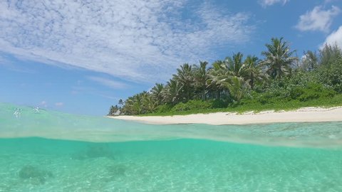 SLOW MOTION, HALF UNDERWATER: Idyllic sandy beach is being washed by the gentle glassy ocean waves on a perfect summer afternoon. Breathtaking shot white sand shore and palm trees in the Maldives.