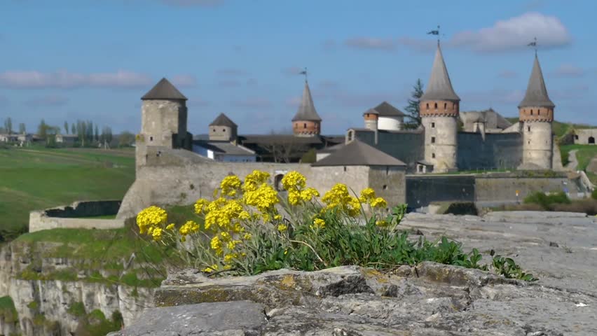 Wild flowers and Medieval fortress in Kamenetc-Podilsky, Ukraine