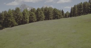 Aerial Drone Footage View of green park in Alps mountains in Italy // no video editing