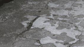 The texture of the cement floor. The view from the top. Camera movement. Cracks and stains. Monochrome image. 4K video