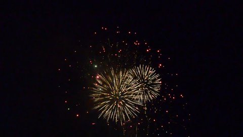 firework display  on black background 