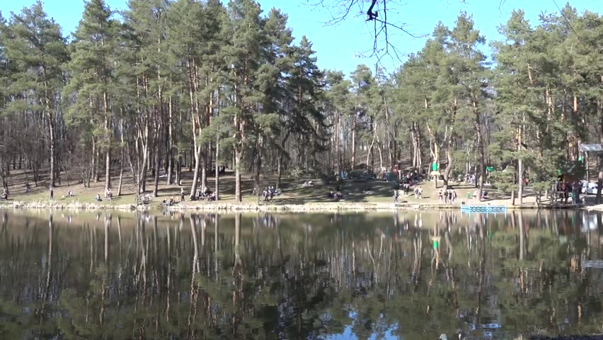 People Spending Weekend Near The Forest Lake video background is a beautiful natural full HD footage.