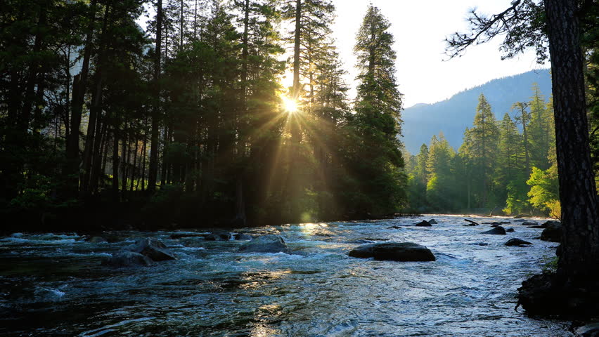 Beautiful morning shot of the Merced River in Yosemite.