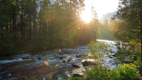Beautiful morning shot of the Merced River in Yosemite.