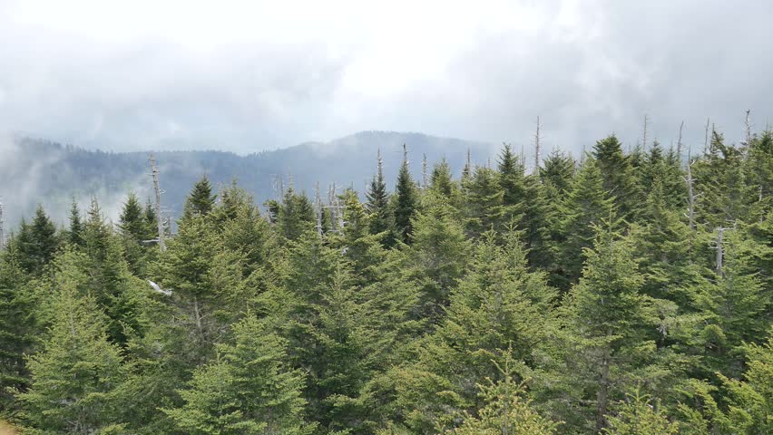 
These clips are from Clingman