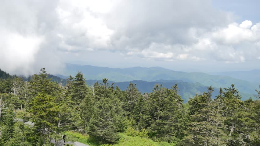 
These clips are from Clingman
