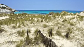 Sand dunes landscape with marram grass at bay of Cala Mesquida beach on Majorca island, Spain Mediterranean Sea