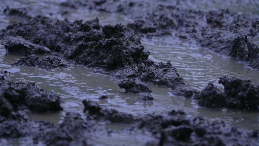 Heavy rain on mud   Royalty-Free Stock Footage #1012231763