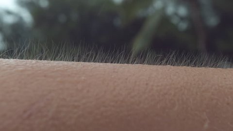 CLOSE UP, MACRO, DOF: Unknown Caucasian person gets goosebumps during a cold tropical rainstorm. Close up shot of arm hair fluttering in the breeze as unrecognizable girl can't escape the cold rain.